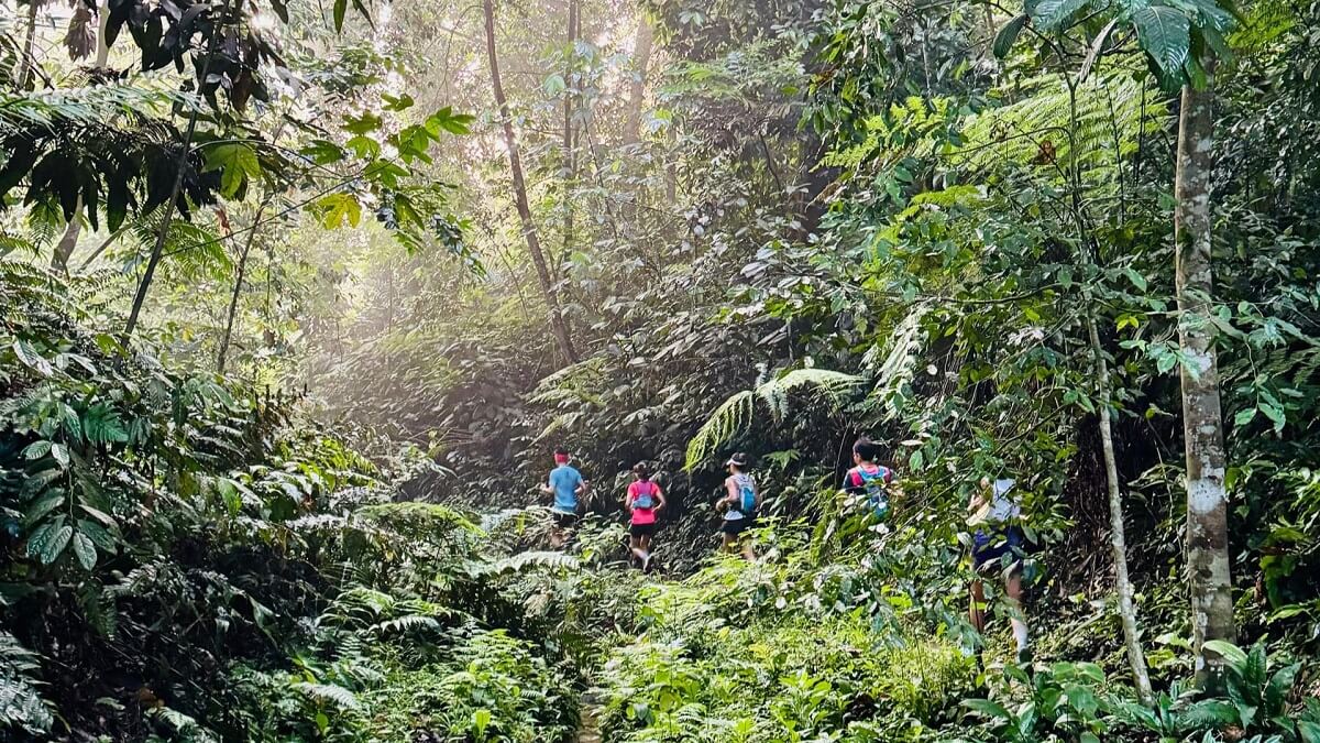 Conquering a 100km Trail Race with Confidence